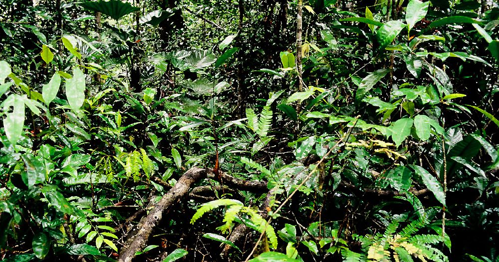 Coban Rondo Malang: How to Get Better Results From Every Visit